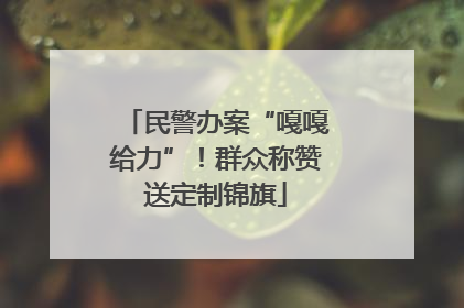 民警办案“嘎嘎给力”！群众称赞送定制锦旗