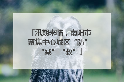 汛期来临，南阳市聚焦中心城区“防”“减”“救”