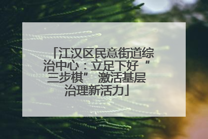 江汉区民意街道综治中心：立足下好“三步棋” 激活基层治理新活力