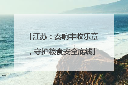 江苏：奏响丰收乐章，守护粮食安全底线