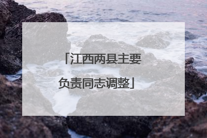 江西两县主要负责同志调整