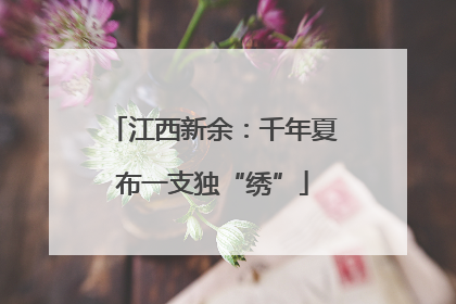 江西新余：千年夏布一支独“绣”