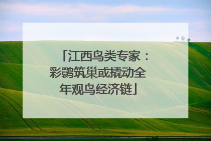 江西鸟类专家：彩鹮筑巢或撬动全年观鸟经济链