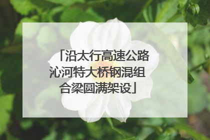 沿太行高速公路沁河特大桥钢混组合梁圆满架设