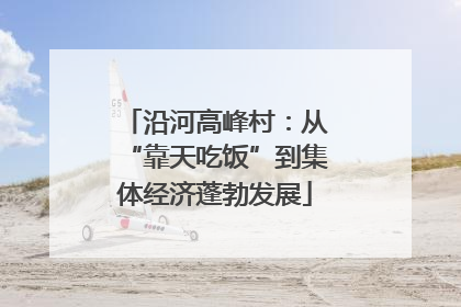 沿河高峰村：从“靠天吃饭”到集体经济蓬勃发展