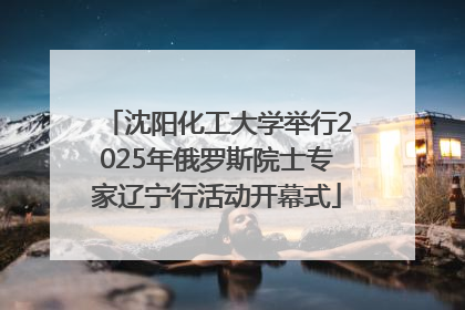 沈阳化工大学举行2025年俄罗斯院士专家辽宁行活动开幕式