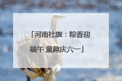 河南社旗：粽香迎端午 童趣庆六一