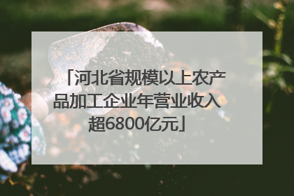 河北省规模以上农产品加工企业年营业收入超6800亿元