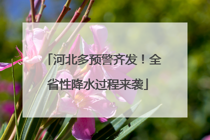 河北多预警齐发！全省性降水过程来袭