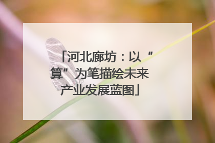河北廊坊：以“算”为笔描绘未来产业发展蓝图
