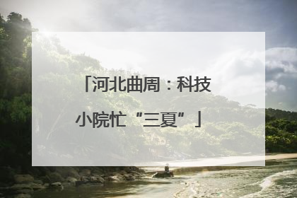 河北曲周：科技小院忙“三夏”