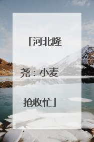 河北隆尧：小麦抢收忙