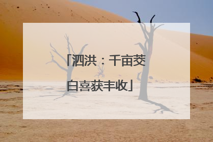 泗洪：千亩茭白喜获丰收