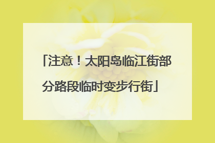 注意！太阳岛临江街部分路段临时变步行街