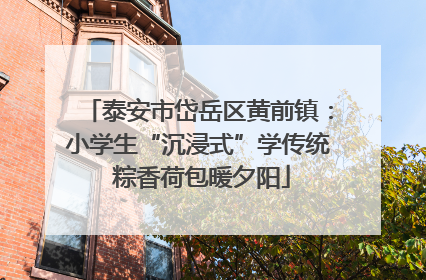 泰安市岱岳区黄前镇：小学生“沉浸式”学传统 粽香荷包暖夕阳