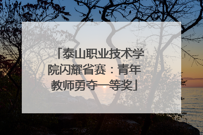 泰山职业技术学院闪耀省赛：青年教师勇夺一等奖
