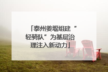 泰州姜堰组建“轻骑队”为基层治理注入新动力