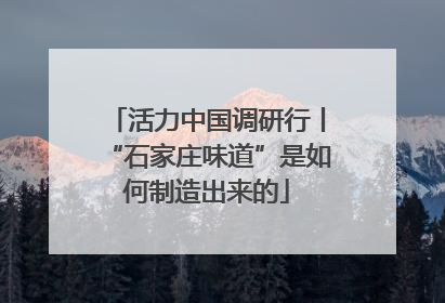 活力中国调研行丨“石家庄味道”是如何制造出来的