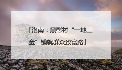 洛南：黑彰村“一地三金”铺就群众致富路