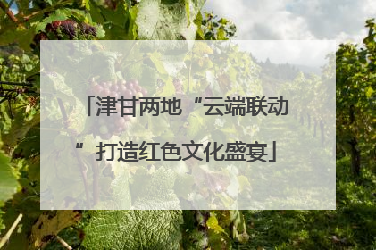 津甘两地“云端联动”打造红色文化盛宴