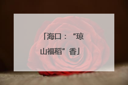 海口：“琼山福稻”香