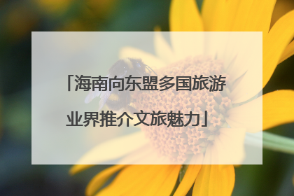 海南向东盟多国旅游业界推介文旅魅力