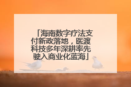 海南数字疗法支付新政落地，医渡科技多年深耕率先驶入商业化蓝海
