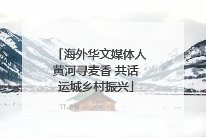 海外华文媒体人黄河寻麦香 共话运城乡村振兴