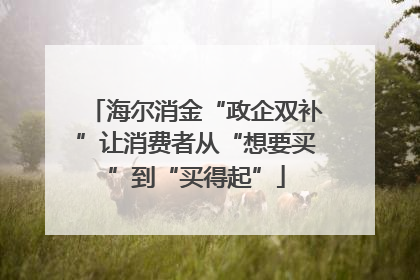 海尔消金“政企双补”让消费者从“想要买”到“买得起”
