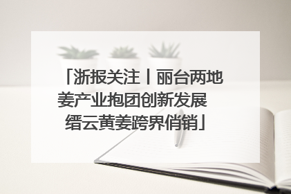 浙报关注丨丽台两地姜产业抱团创新发展 缙云黄姜跨界俏销