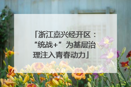 浙江嘉兴经开区：“统战+”为基层治理注入青春动力