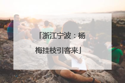 浙江宁波：杨梅挂枝引客来