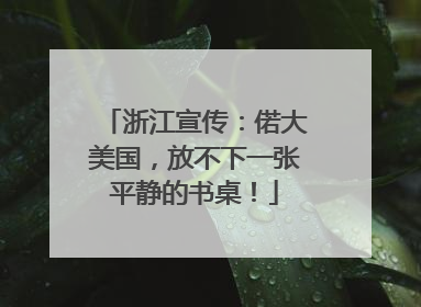 浙江宣传：偌大美国，放不下一张平静的书桌！
