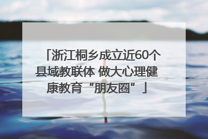 浙江桐乡成立近60个县域教联体 做大心理健康教育“朋友圈”