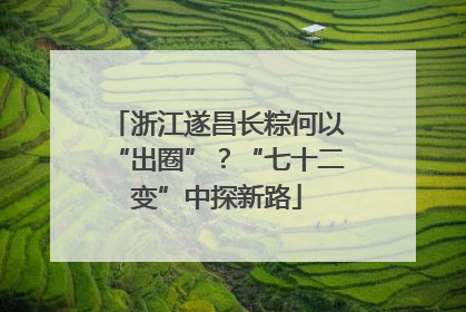 浙江遂昌长粽何以“出圈”？“七十二变”中探新路