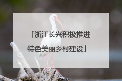浙江长兴积极推进特色美丽乡村建设