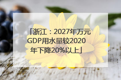 浙江：2027年万元GDP用水量较2020年下降20%以上