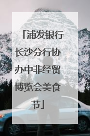 浦发银行长沙分行协办中非经贸博览会美食节