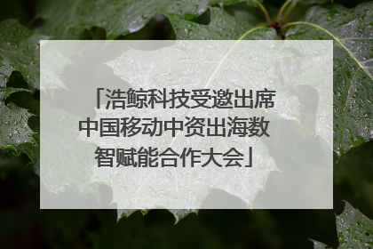 浩鲸科技受邀出席中国移动中资出海数智赋能合作大会
