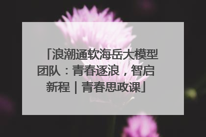 浪潮通软海岳大模型团队：青春逐浪，智启新程｜青春思政课