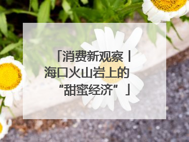 消费新观察丨海口火山岩上的“甜蜜经济”