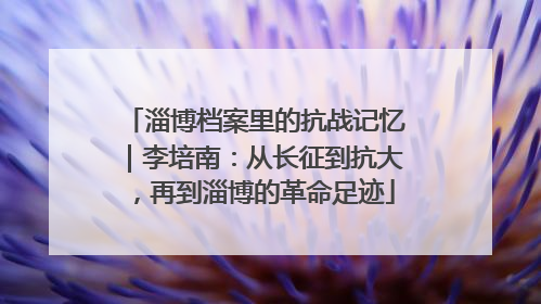 淄博档案里的抗战记忆｜李培南：从长征到抗大，再到淄博的革命足迹
