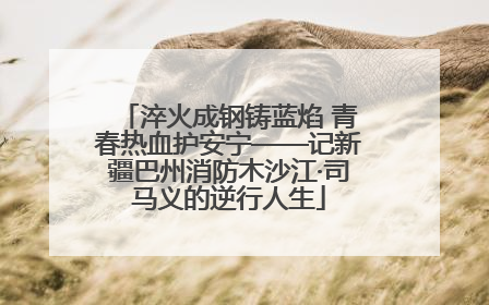 淬火成钢铸蓝焰 青春热血护安宁——记新疆巴州消防木沙江·司马义的逆行人生