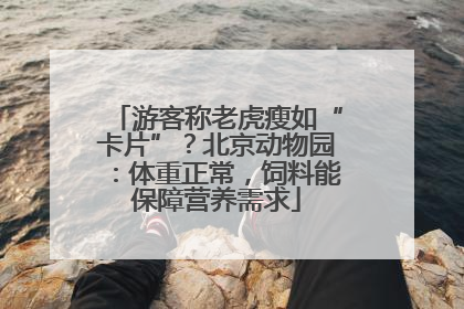 游客称老虎瘦如“卡片”？北京动物园：体重正常，饲料能保障营养需求