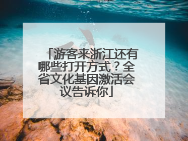 游客来浙江还有哪些打开方式？全省文化基因激活会议告诉你