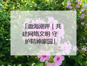 渤海潮评｜共建网络文明 守护精神家园