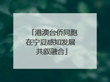 港澳台侨同胞在宁夏感知发展 共叙融合