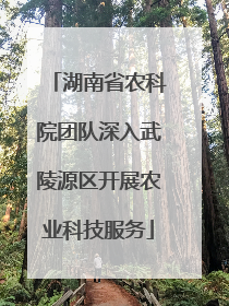 湖南省农科院团队深入武陵源区开展农业科技服务