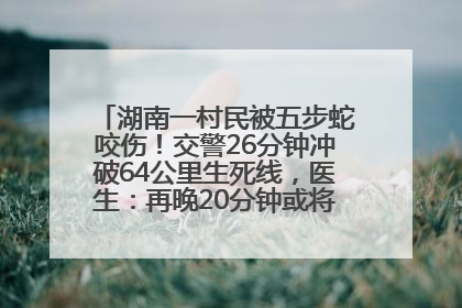 湖南一村民被五步蛇咬伤！交警26分钟冲破64公里生死线，医生：再晚20分钟或将呼吸肌麻痹