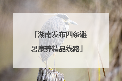 湖南发布四条避暑康养精品线路